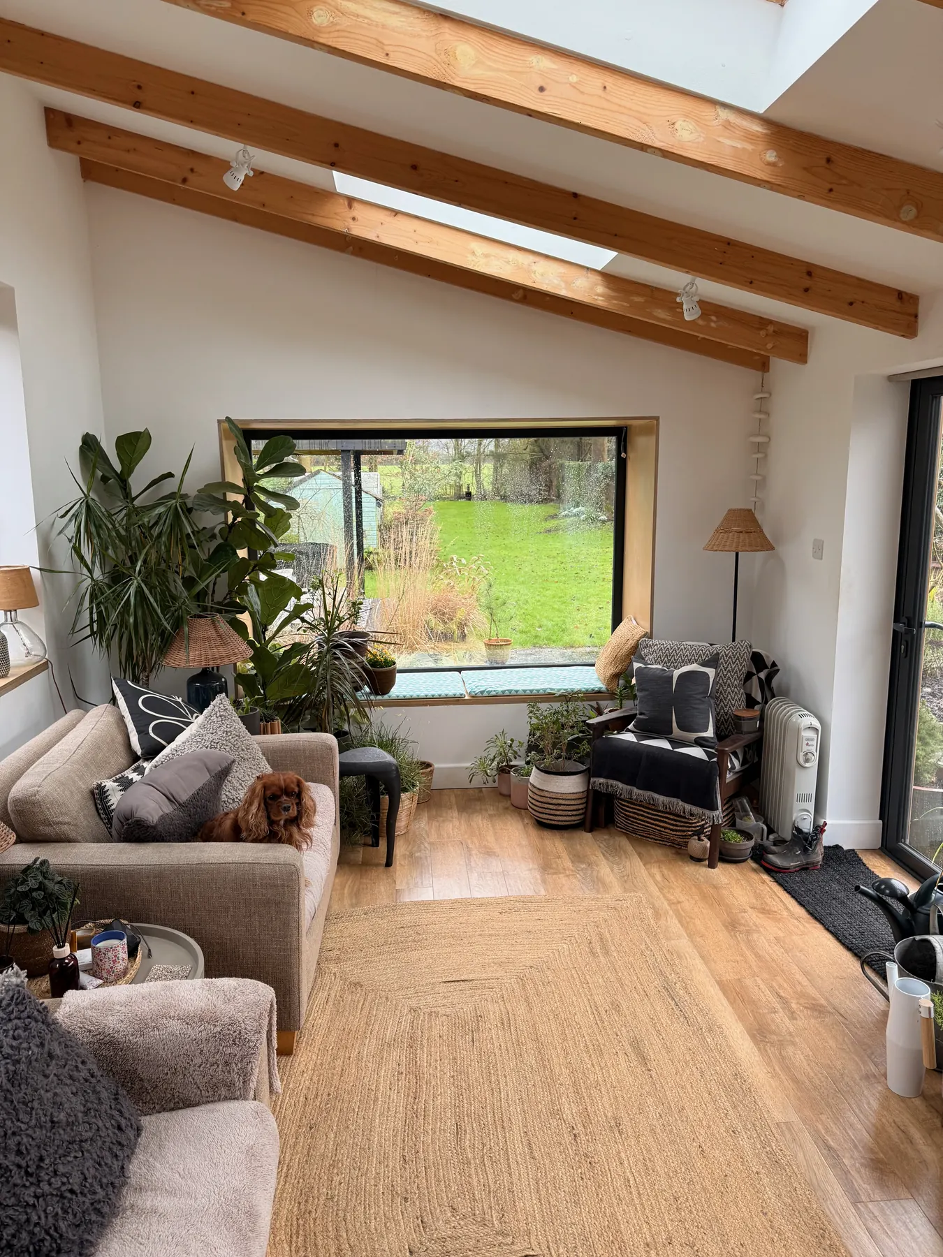 PM Windows installation: A picture window framing the garden
